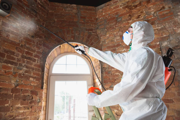 Best Asbestos and Lead Testing During Mold Inspection  in City View, SC